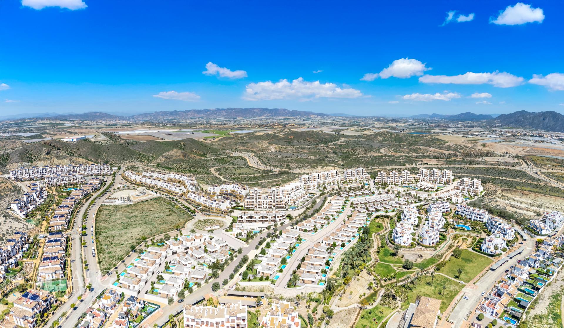 neighborhood / vecindario